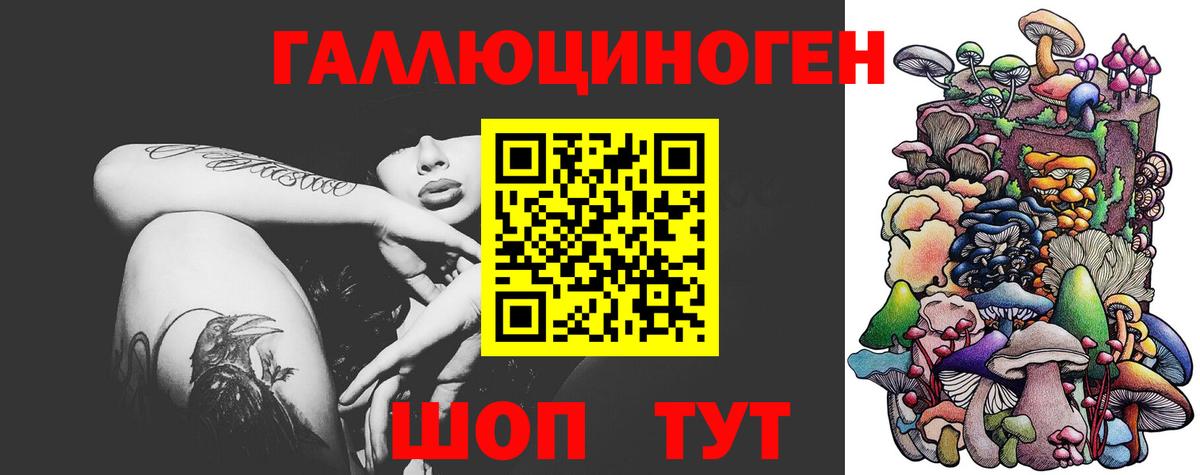 Галлюциногенные грибы Psilocybe  Вход с VPN  Губкин 